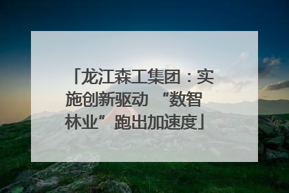 龙江森工集团：实施创新驱动 “数智林业”跑出加速度